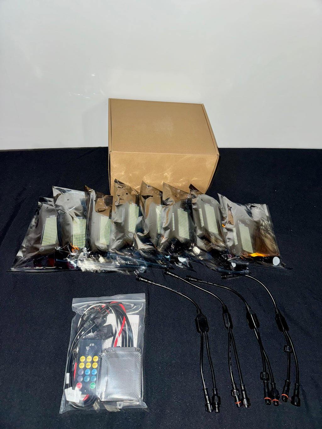 219 Chip Rock Lights