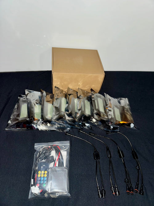 219 Chip Rock Lights